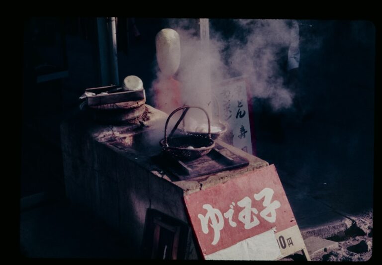 instrukcja obsługi czajnika elektrycznego